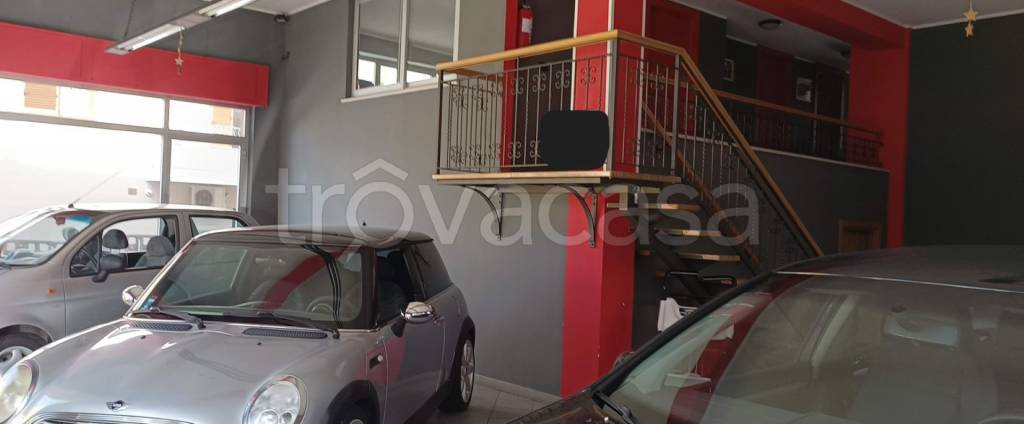 immagine annuncio 3 di 11