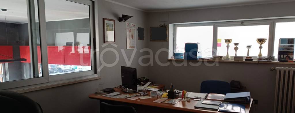 immagine annuncio 4 di 11