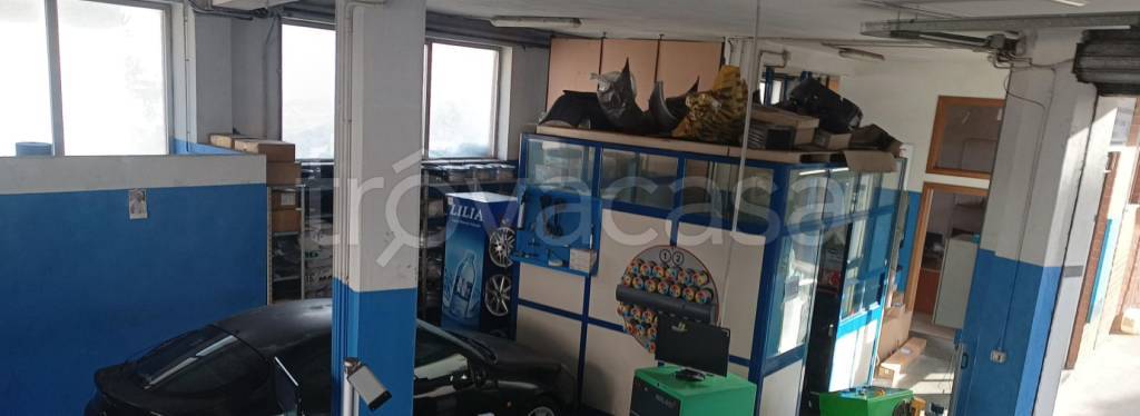 immagine annuncio 5 di 11