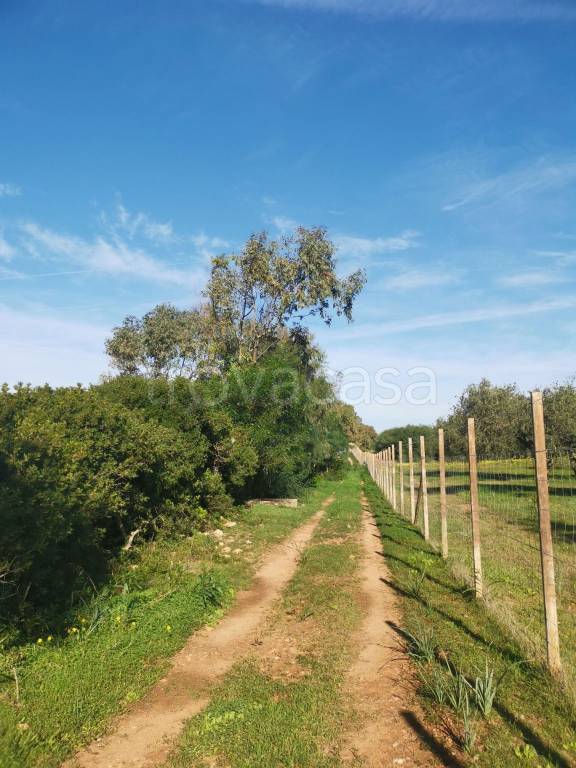 immagine annuncio 2 di 3