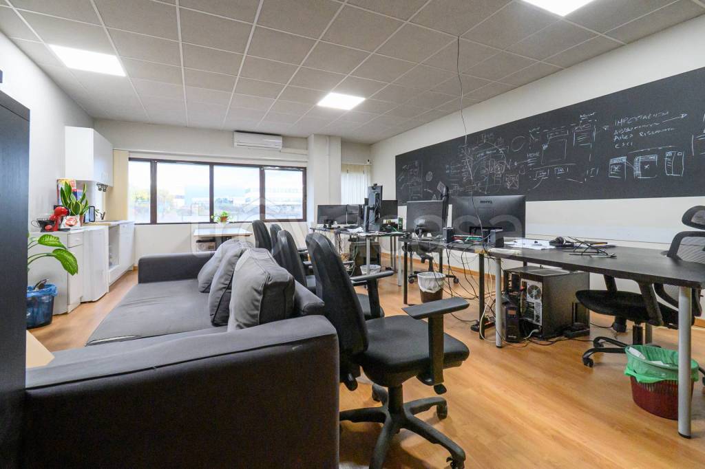 immagine annuncio 12 di 15