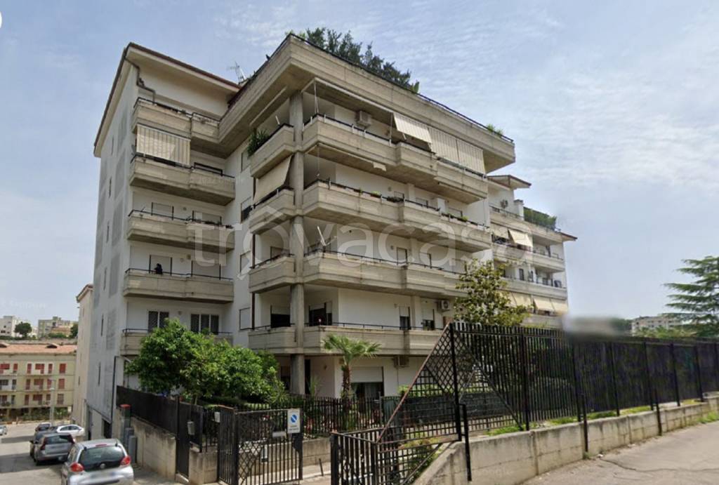 immagine annuncio 12 di 13