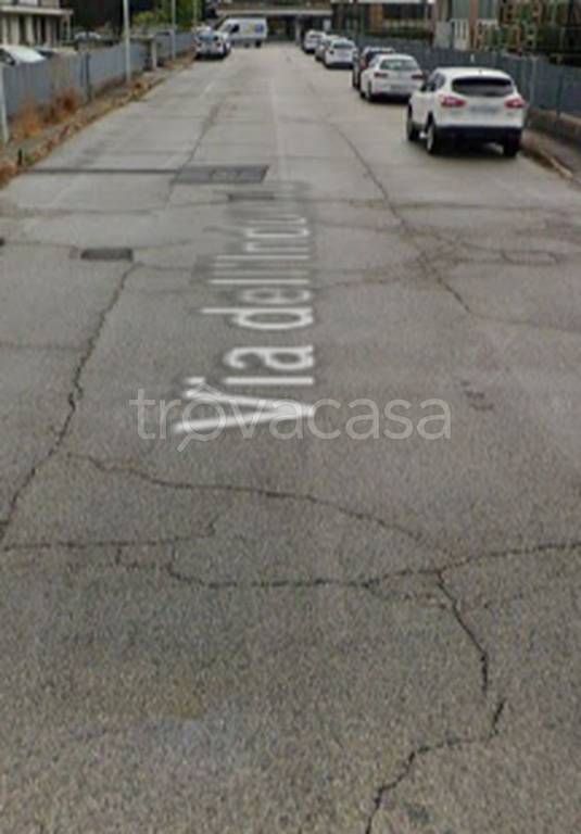 immagine annuncio 3 di 12