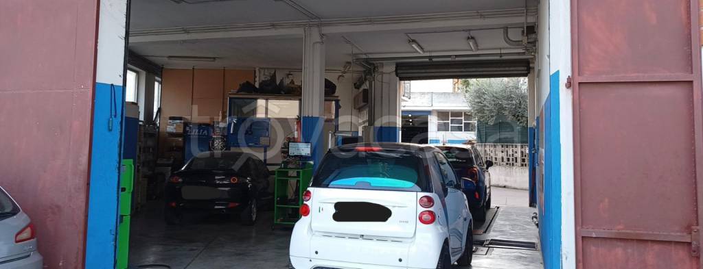 immagine annuncio 8 di 11