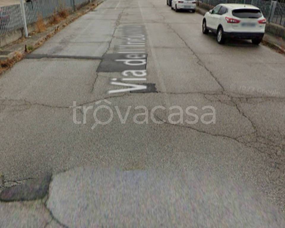 immagine annuncio 9 di 12