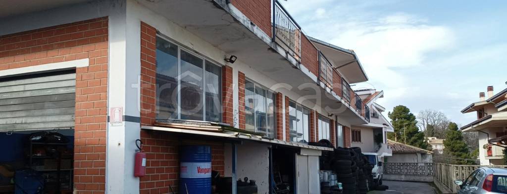 immagine annuncio 9 di 11