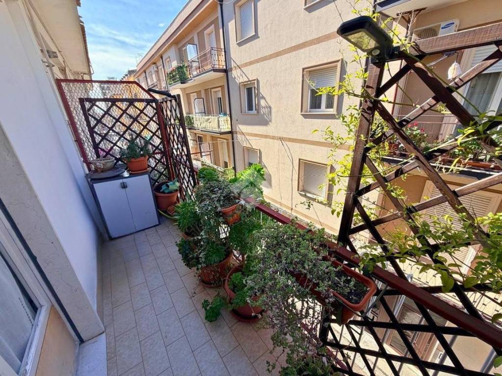 immagine annuncio 3 di 12