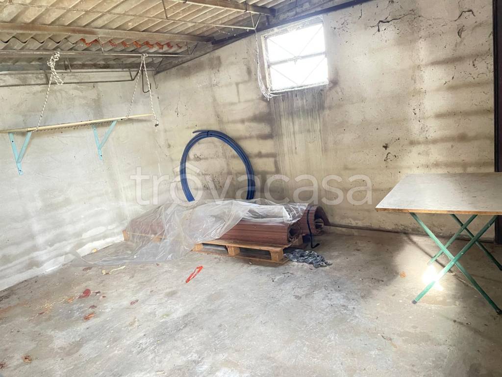 immagine annuncio 9 di 12