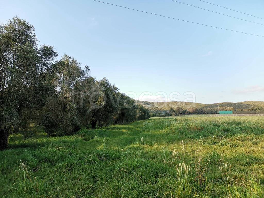 immagine annuncio 5 di 11