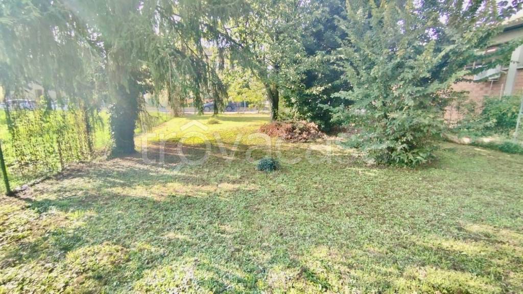 immagine annuncio 3 di 9