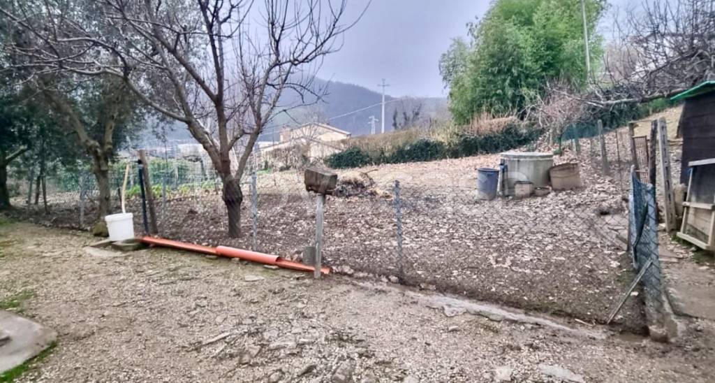 immagine annuncio 6 di 14