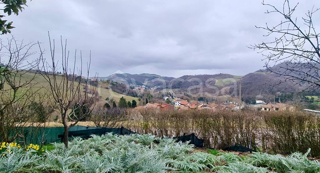 immagine annuncio 5 di 14