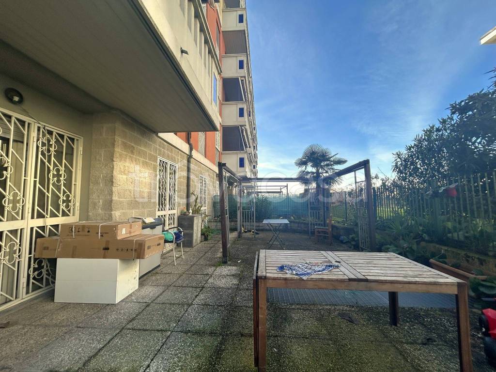 immagine annuncio 11 di 15