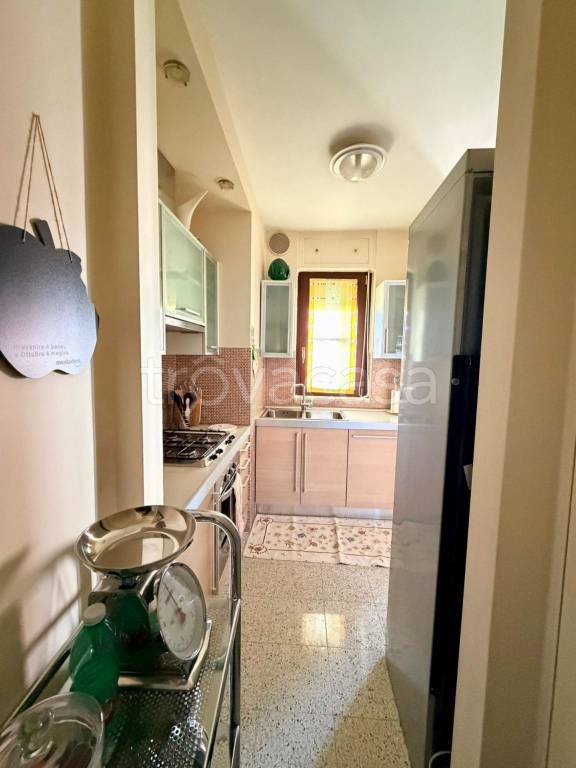 immagine annuncio 4 di 14