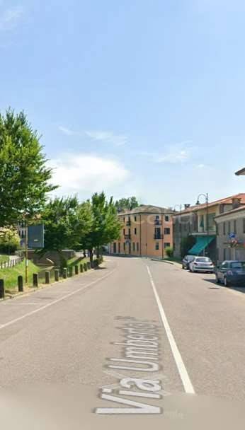 immagine annuncio 2 di 12