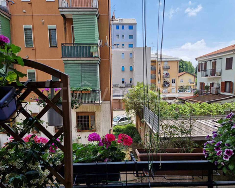 immagine annuncio 6 di 11