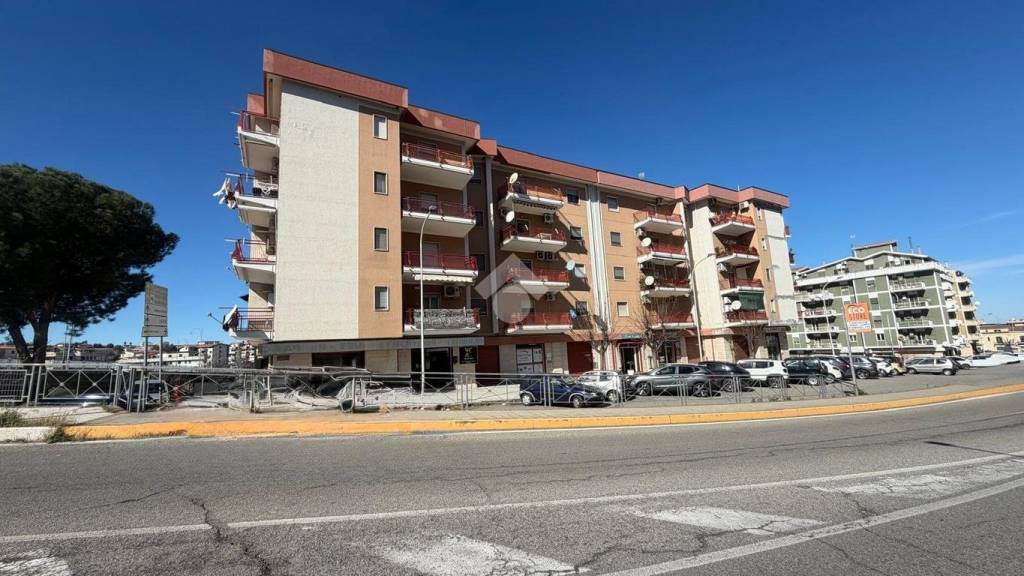 immagine annuncio 12 di 13