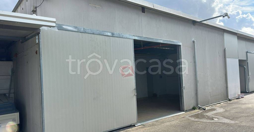 immagine annuncio 1 di 7