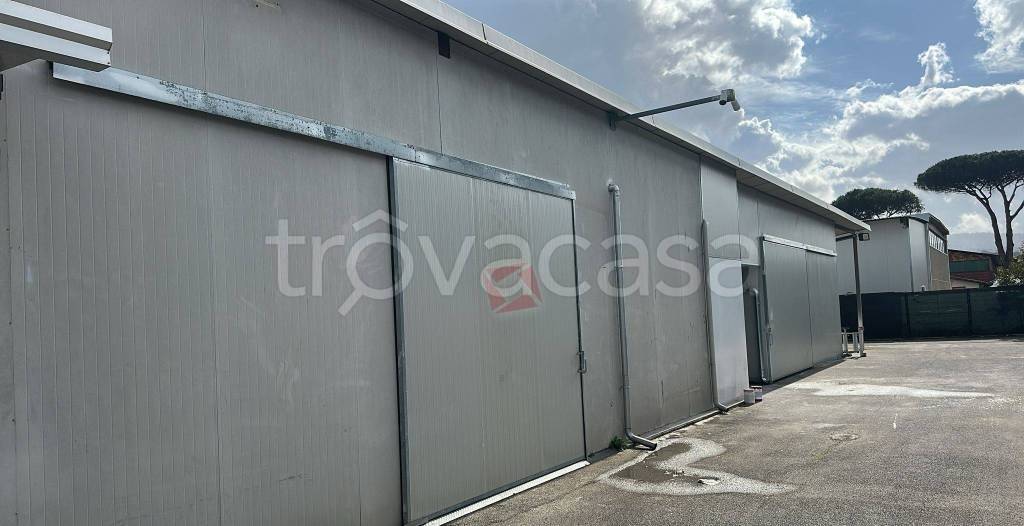 immagine annuncio 4 di 7