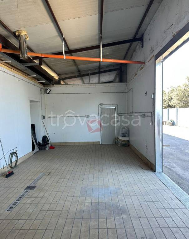 immagine annuncio 6 di 7