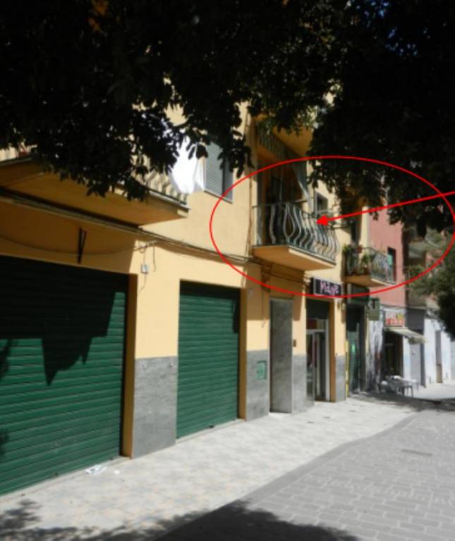 immagine annuncio 1 di 12