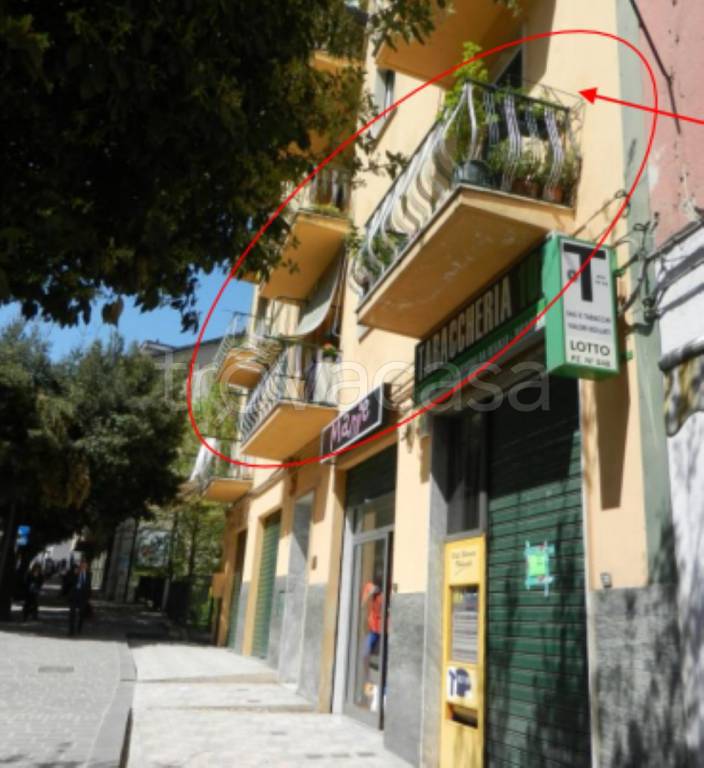 immagine annuncio 10 di 12