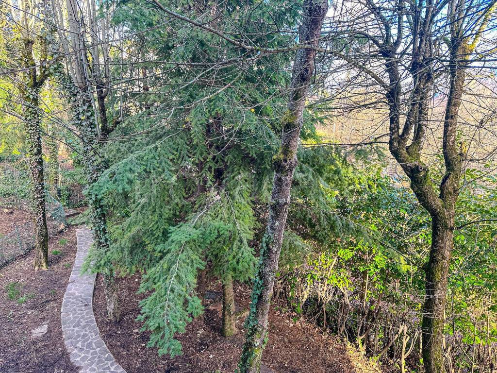 immagine annuncio 5 di 9