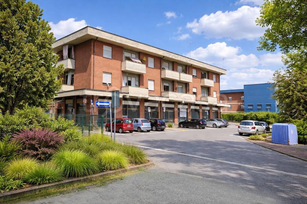 immagine annuncio 2 di 3