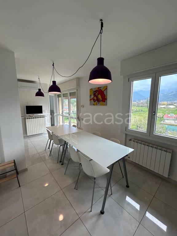 immagine annuncio 5 di 14