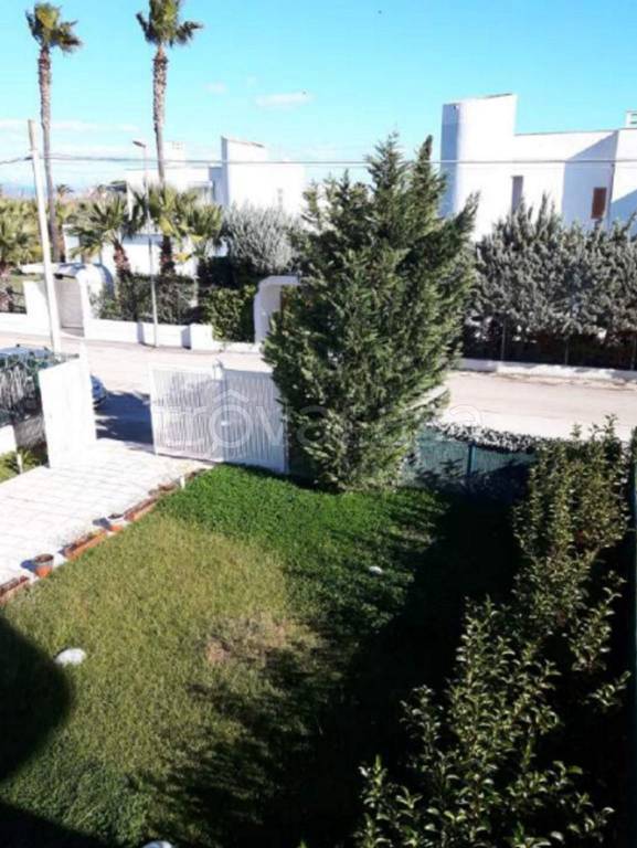 immagine annuncio 11 di 13