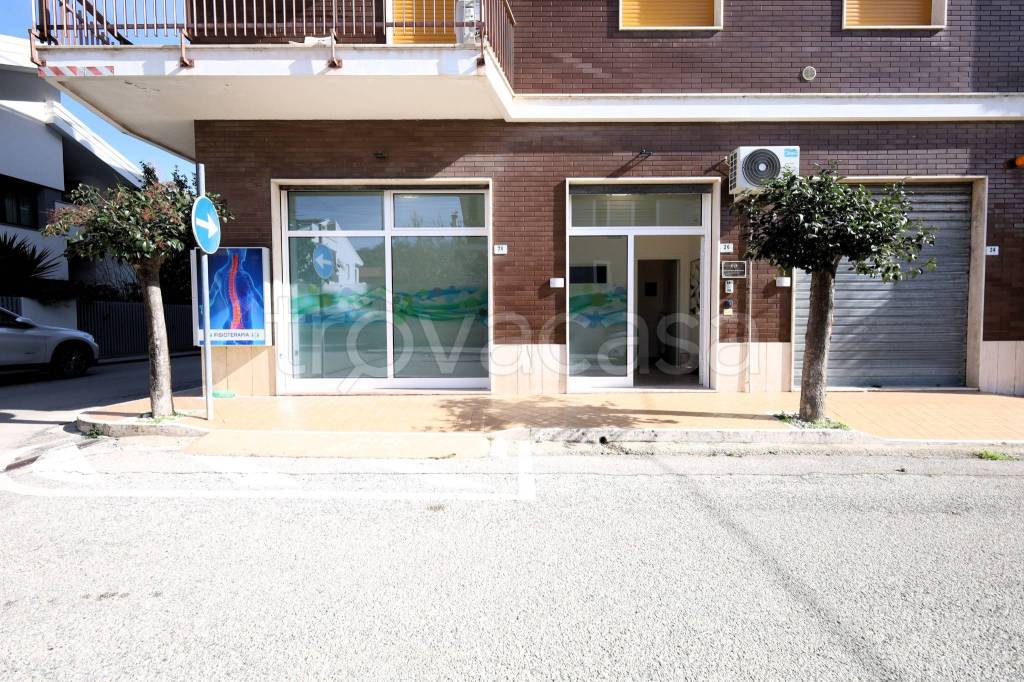 immagine annuncio 9 di 11