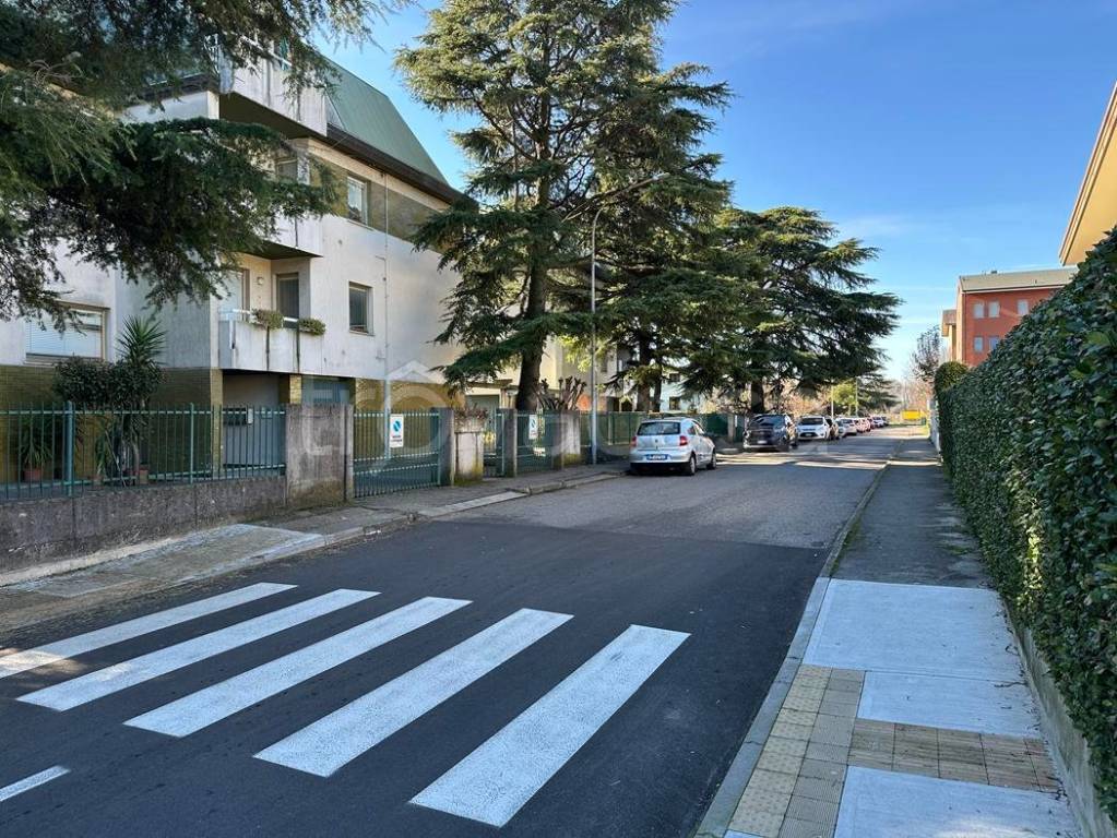 immagine annuncio 7 di 9