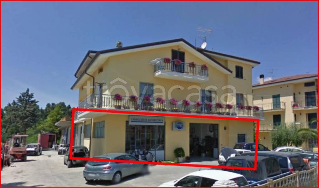 immagine annuncio 2 di 12