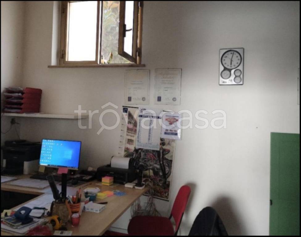 immagine annuncio 10 di 12