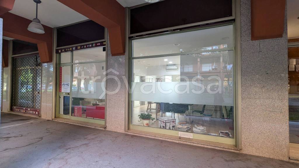 immagine annuncio 11 di 12