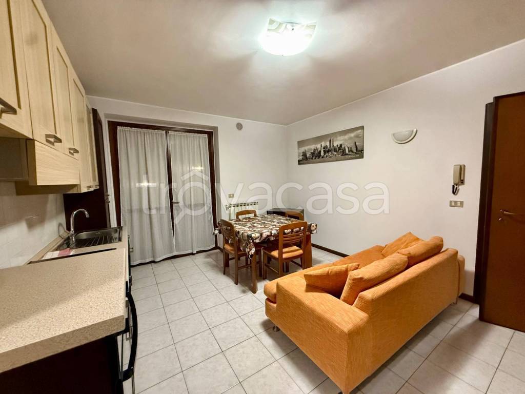 immagine annuncio 3 di 11