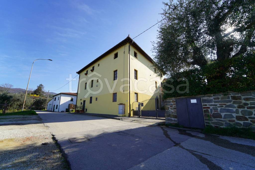 immagine annuncio 3 di 14