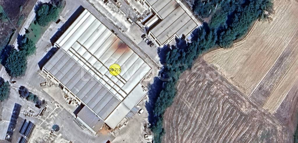 immagine annuncio 10 di 11