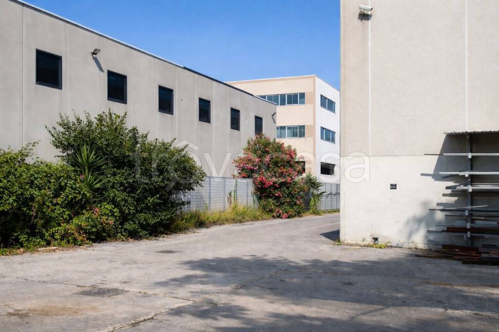 immagine annuncio 4 di 10