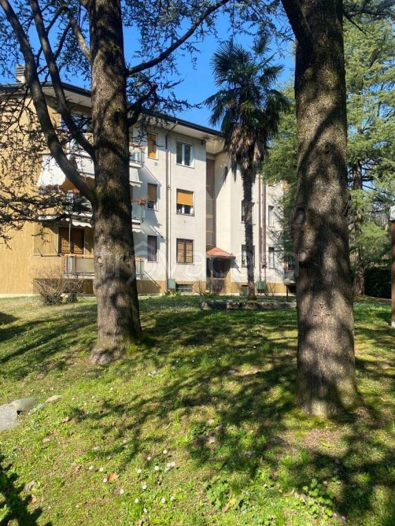 immagine annuncio 3 di 9