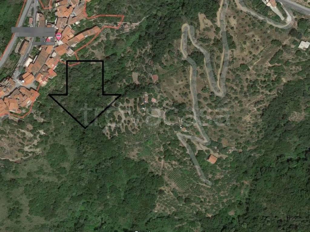 immagine annuncio 2 di 6