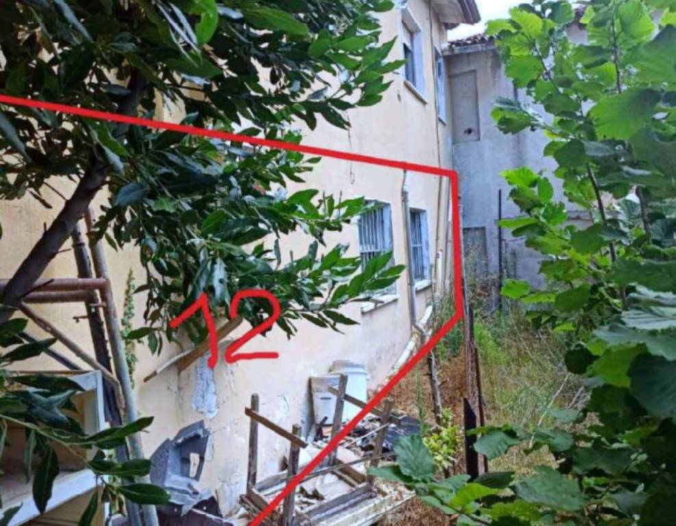 immagine annuncio 3 di 11