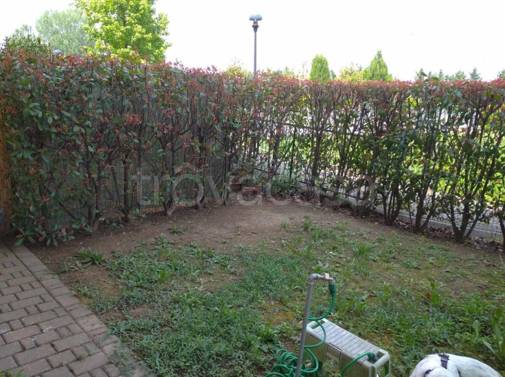 immagine annuncio 2 di 4