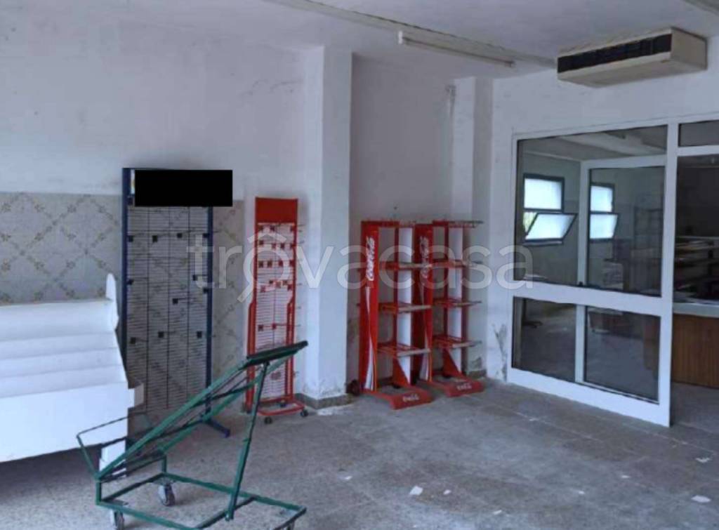 immagine annuncio 7 di 11