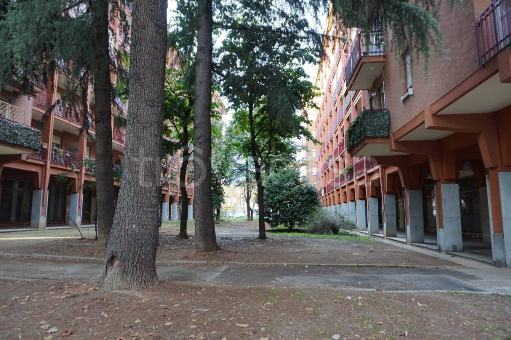 immagine annuncio 10 di 12