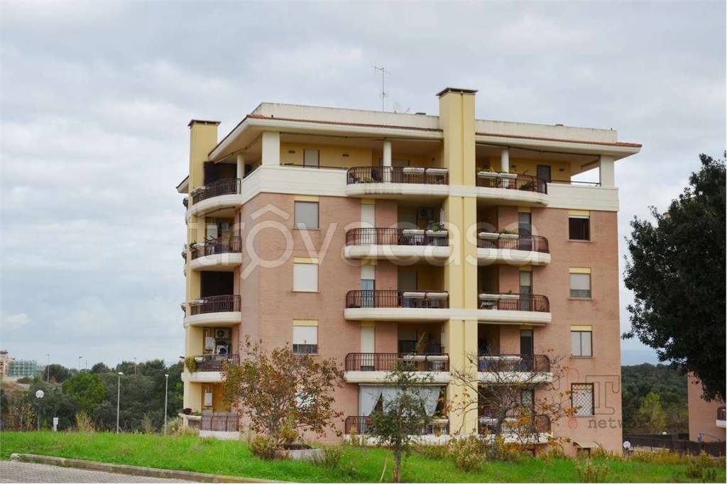 immagine annuncio 1 di 9