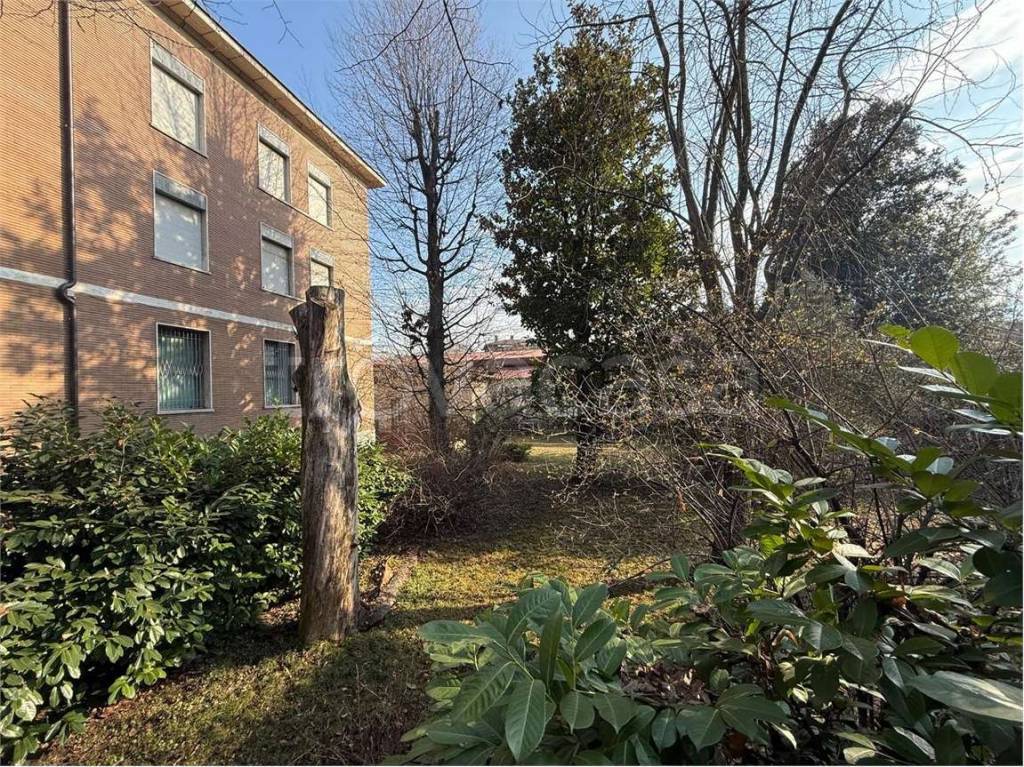 immagine annuncio 10 di 14