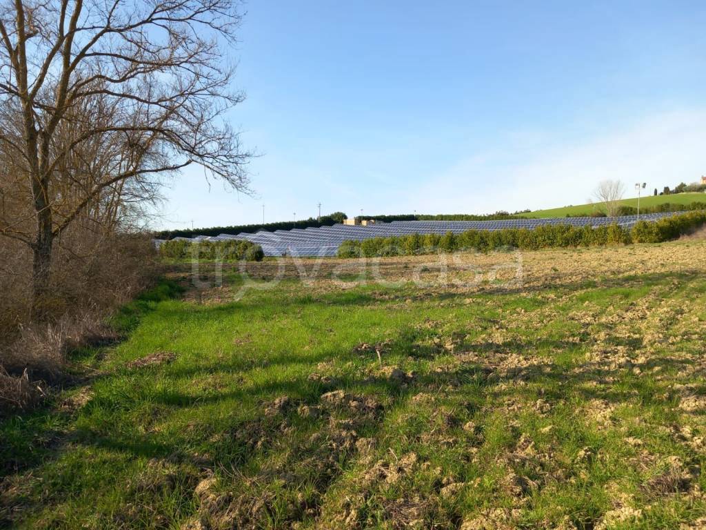 immagine annuncio 6 di 13