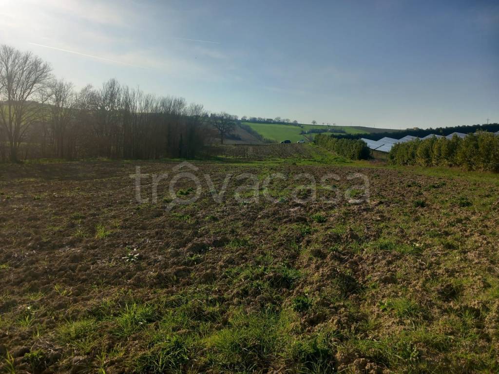 immagine annuncio 7 di 13