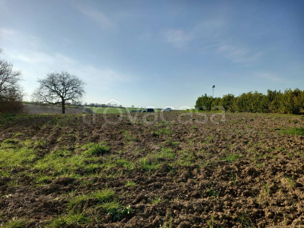 immagine annuncio 8 di 13